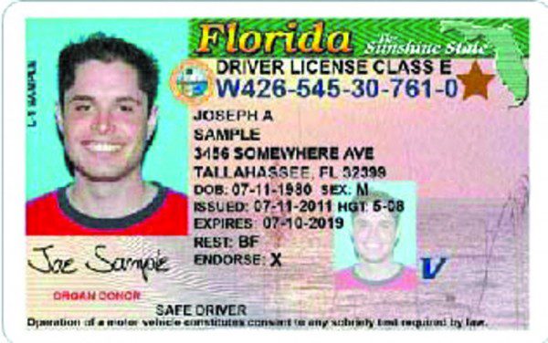 Driver License Format By State