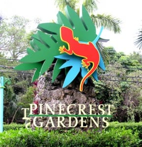 Taste Of Pinecrest