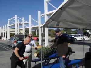  Tony Samito (left), Luis Ochoa and Father Israel Mago help trim tree the morning after Thanksgiving at Doral Charter High School.