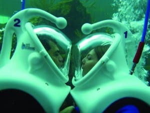 ‘Dine with the Dolphins’ offers unique Valentine’s experience