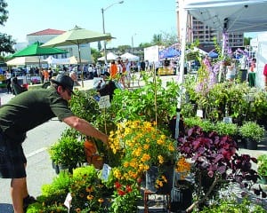 Coral Gables Farmers Market 