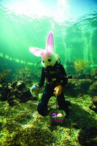 Easter Weekend to get underway with Seaquarium’s BunnyPalooza