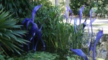 fairchild-chihuly