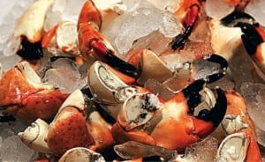 Stone crabs on ice