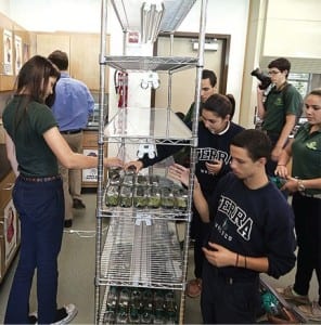 Terra high school students place orchid seedling containers on shelves in their classroom.