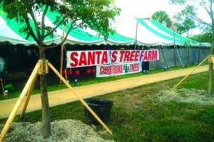 Christmas tree lot returns to church with less space