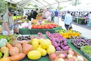 Food & Fun at Farmer’s Market