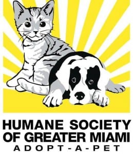 Tips-from-the-Humane-Society-of-Greater-Miami-on-How-to-Keep-Your-Pets-Calm-on-July-4th