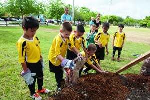 Million Trees Miami program comes to WK Wild Lime Park