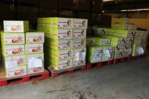 BJ’s Wholesale Club in Parkland donates over 11,000 diapers to the Feeding South Florida. The diapers will be distributed to families in need to protect their most vulnerable members: their babies.