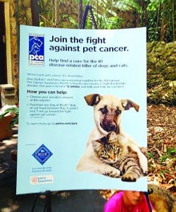 Village throws ‘bash’ to aid Pet Cancer Research