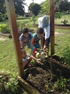 community garden children planting