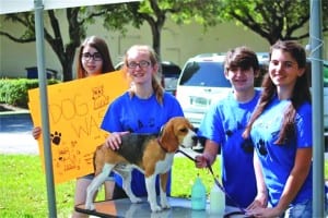 Second annual ‘Dog Wash for a Cause’ fundraising event is March 14