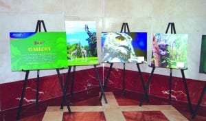 Mercantil Commercebank showcases ‘Zoolens’ student wildlife photography