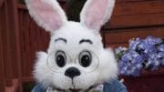 Noerr programs coupons easter