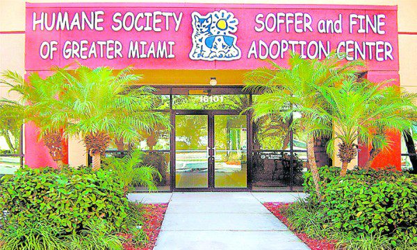 The Humane Society of Greater Miami Adopt-A-Pet has ...