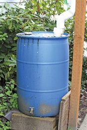 Miami-Dade Public Library System presents Rain Barrel & Water ...