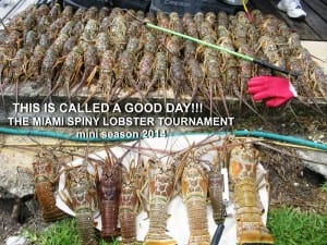 Spiny Lobster