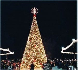 Get into the holiday spirit at Bayfront Park's tree lighting