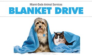 AnimalServices-Blanket-release