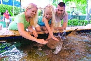 It's 'Season of Smiles' at Miami Seaquarium