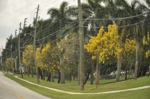 Doral: Florida's 'Golden City?