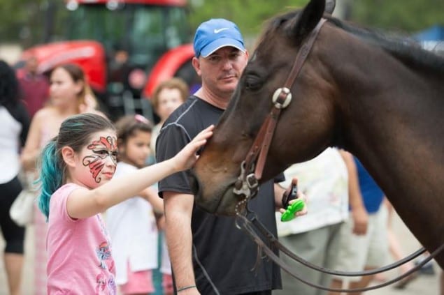 Cattle show highlights county's $3 billion agricultural industry