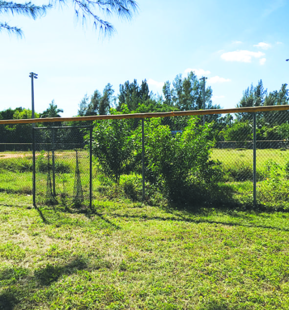 Chapman Field Park, is now an abandoned community resource