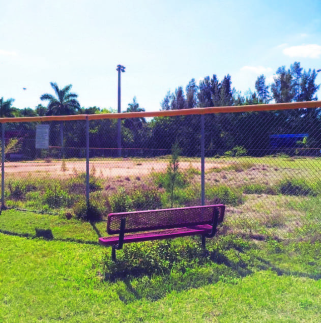 Chapman Field Park, is now an abandoned community resource