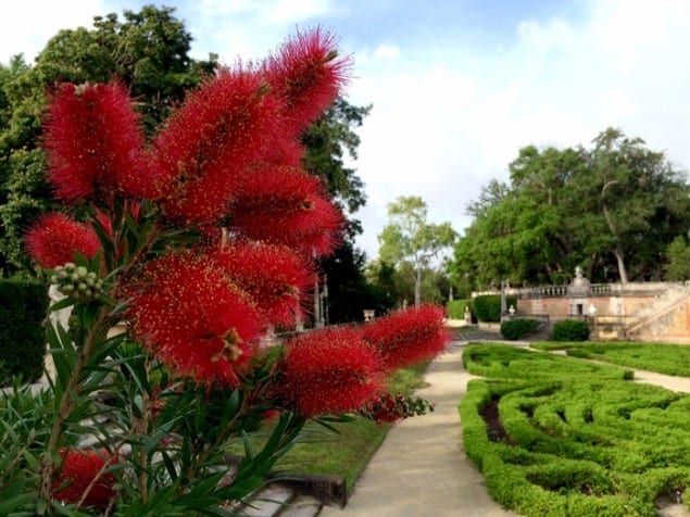 Environmental BioBlitz coming to Vizcaya Museum and Gardens