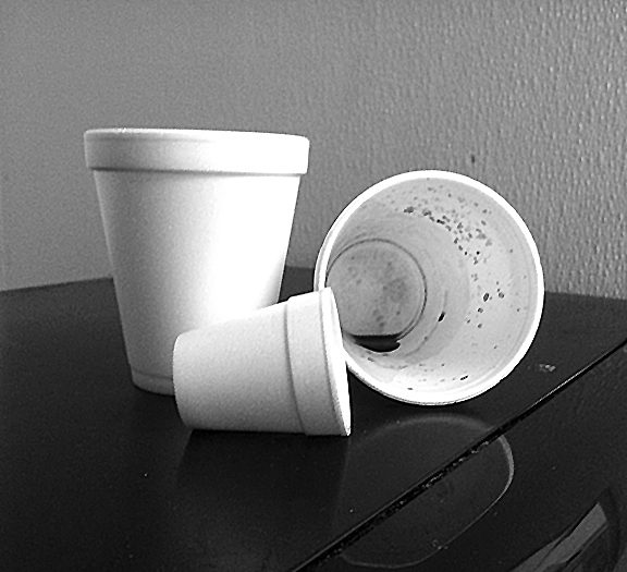 Commissioners vote to ban Styrofoam from county parks, beaches, marinas