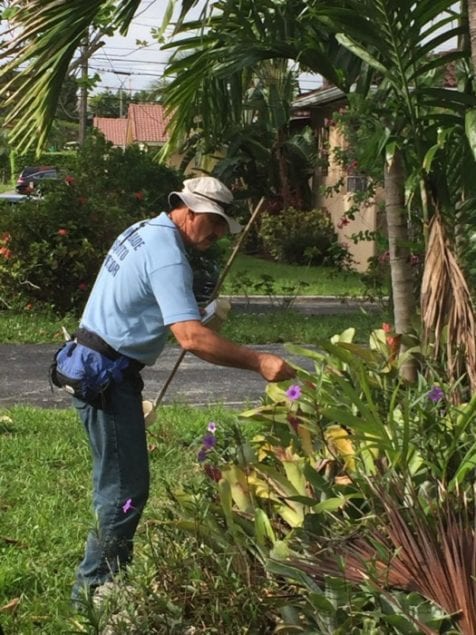 County: Residents are first line of defense against mosquitoes