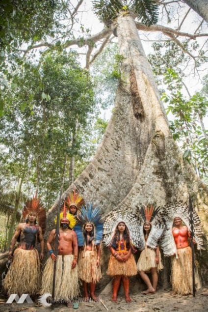 Yawanawá Tribe of Amazon to perform songs, dances