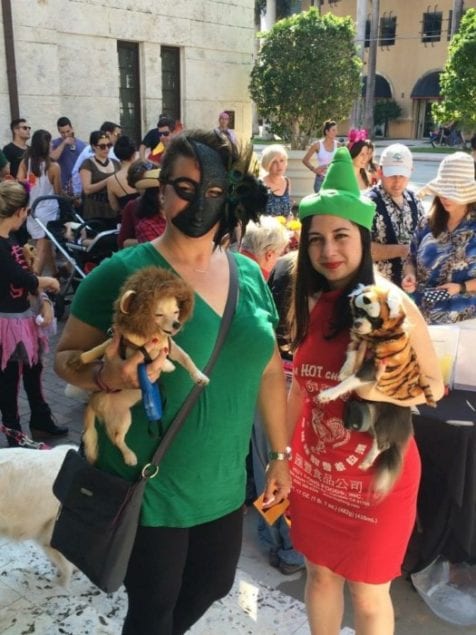 Coral Gables Museum Doggie Costume Contest on Oct. 31