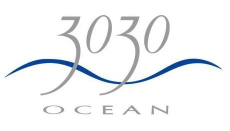 3030-ocean-logo