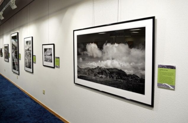 Clyde Butcher Photography Exhibit opened at FIU’s Biscayne Bay Campus Hubert Library