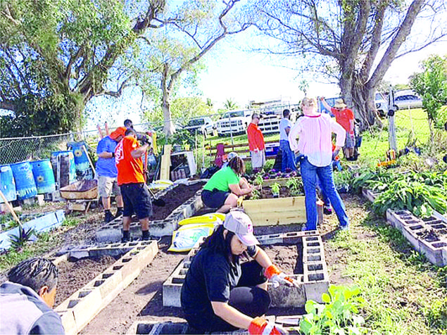 Town’s community garden gets help from Home Depot