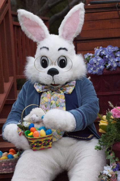 Bring furry friends to Dadeland Mall for photos with the Easter Bunny