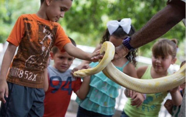 Jungle Island turns kids’ summer vacation into a wild adventure