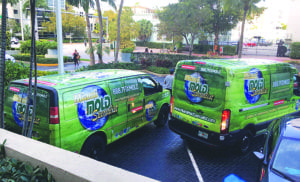 Miami Mold Specialist trucks