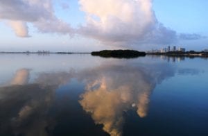 One-day Summit to create an action plan to reduce pollutants in Biscayne Bay and surrounding Miami-Dade's waterways.