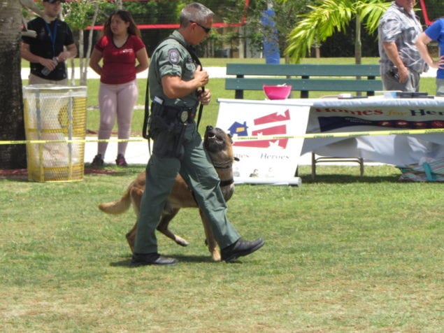 Town shows support for military with Armed Forces Day activities