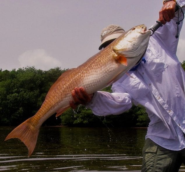 The "Bonefish Whisperer" himself with his redfish