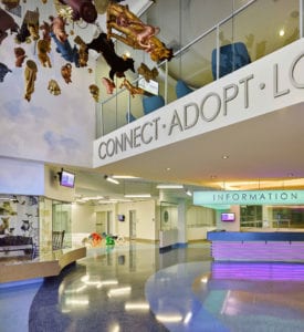 Miami_Dade_Animal_Shelter_2016_Entrance-green