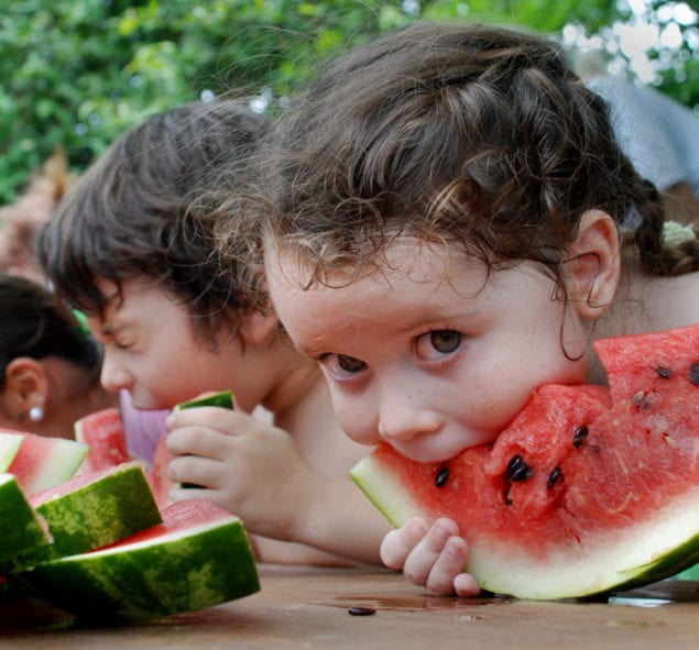 Savor the flavors of summertime at Redland Summer Fruit Festival