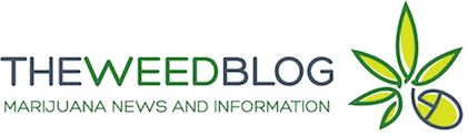 weedblog-logo-transparent-min