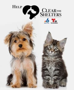 ClearTheShelters2017