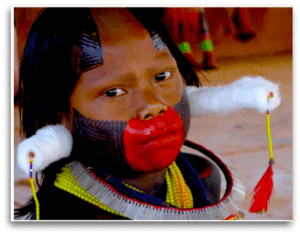 Participants will live among the Kayapó Tribe and experience their indigenous way of life.