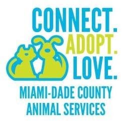 adopt love