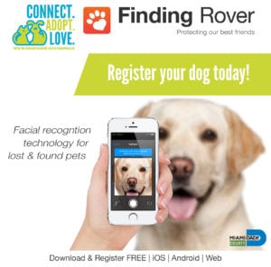 Finding Rover